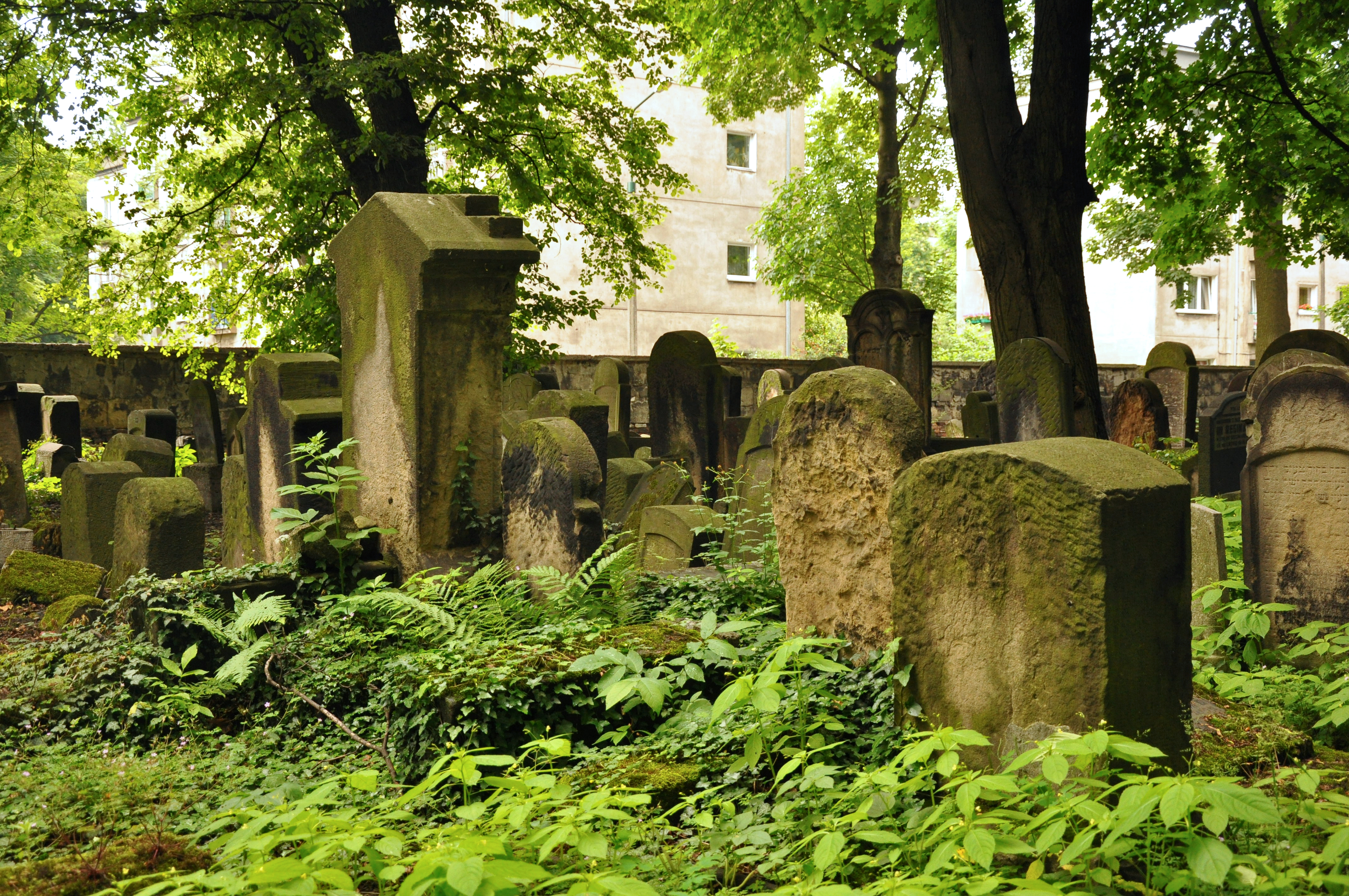 6604319509_54b0f09d37_o