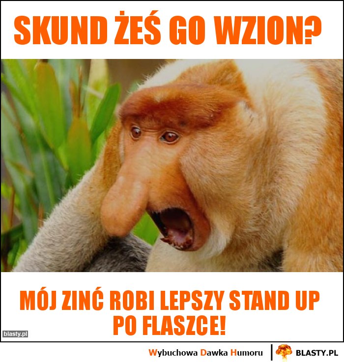 janusz nosasz, Górny pasek: Skund żeś go wzion? Dolny Pasek: Mój zinć robi lepszy stand up po flaszce!
